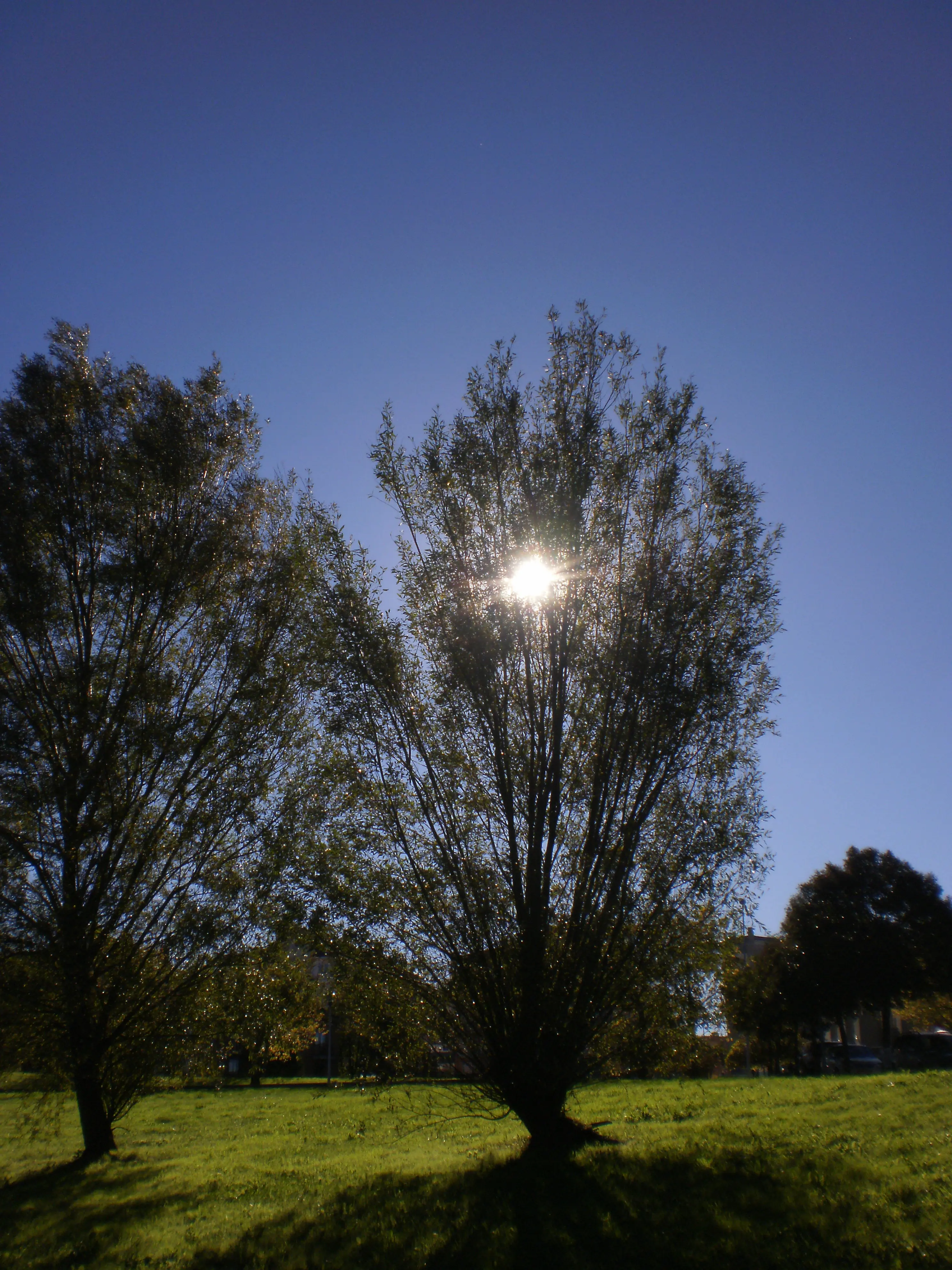 &Fotowelt - Landschaft