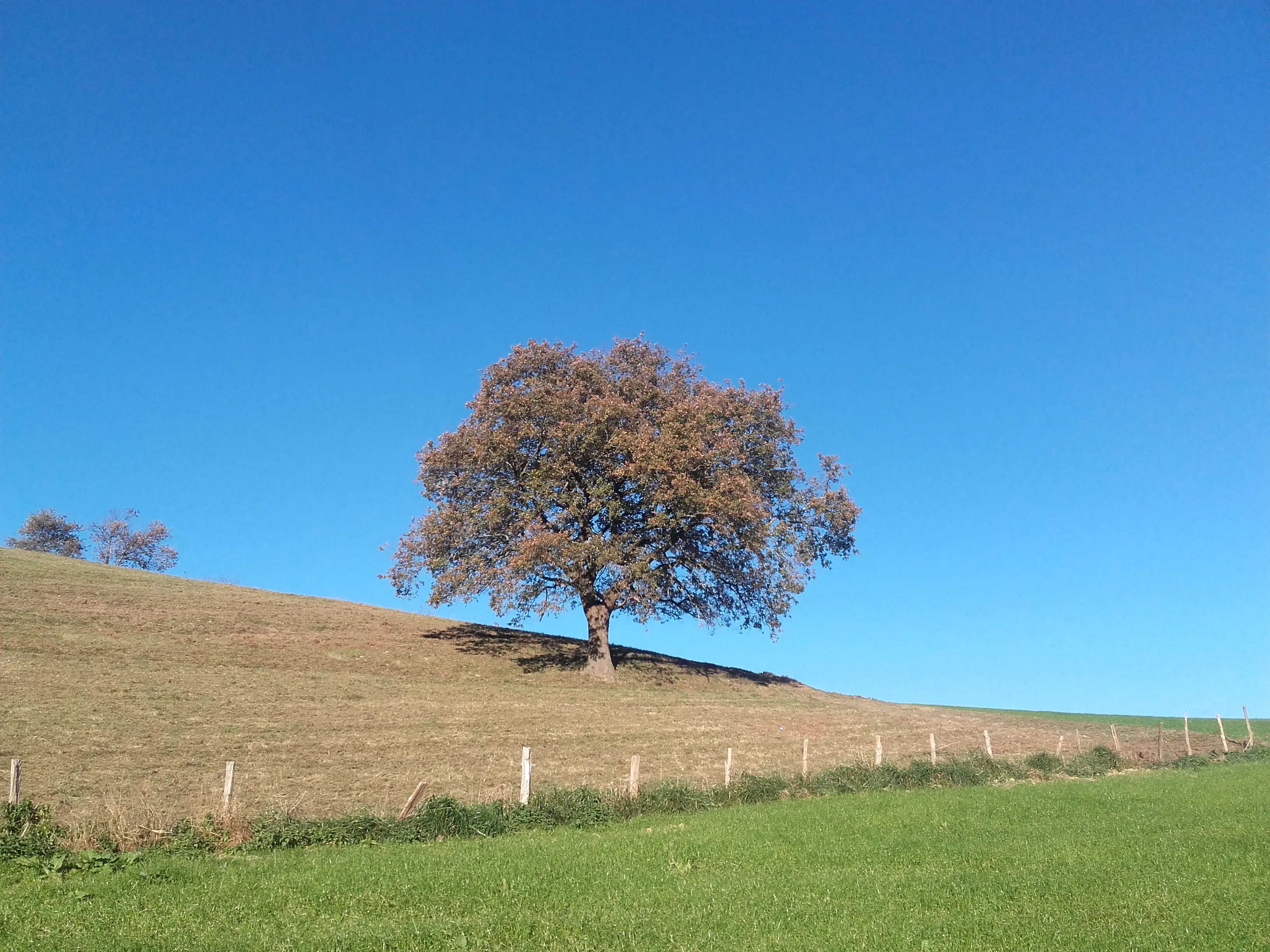 &Fotowelt - Landschaft