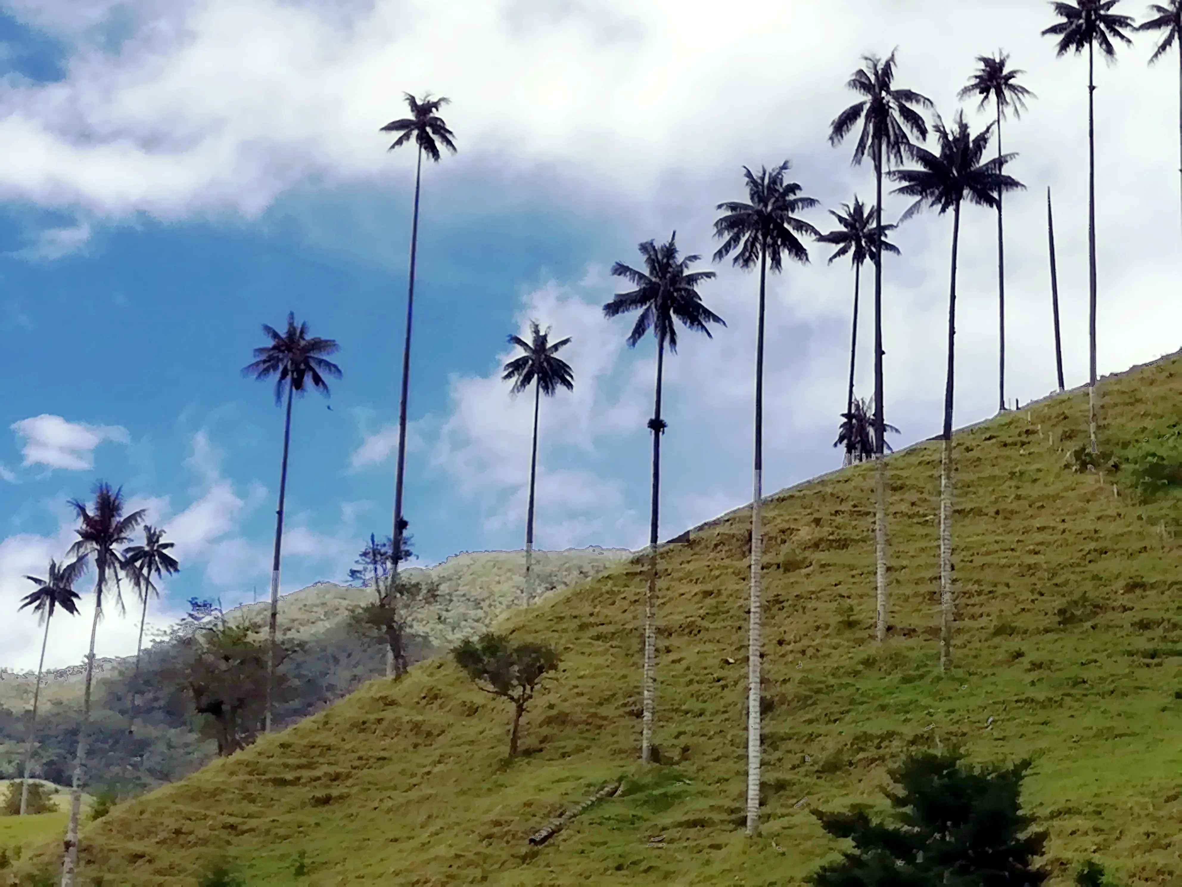 &Fotowelt - Landschaft