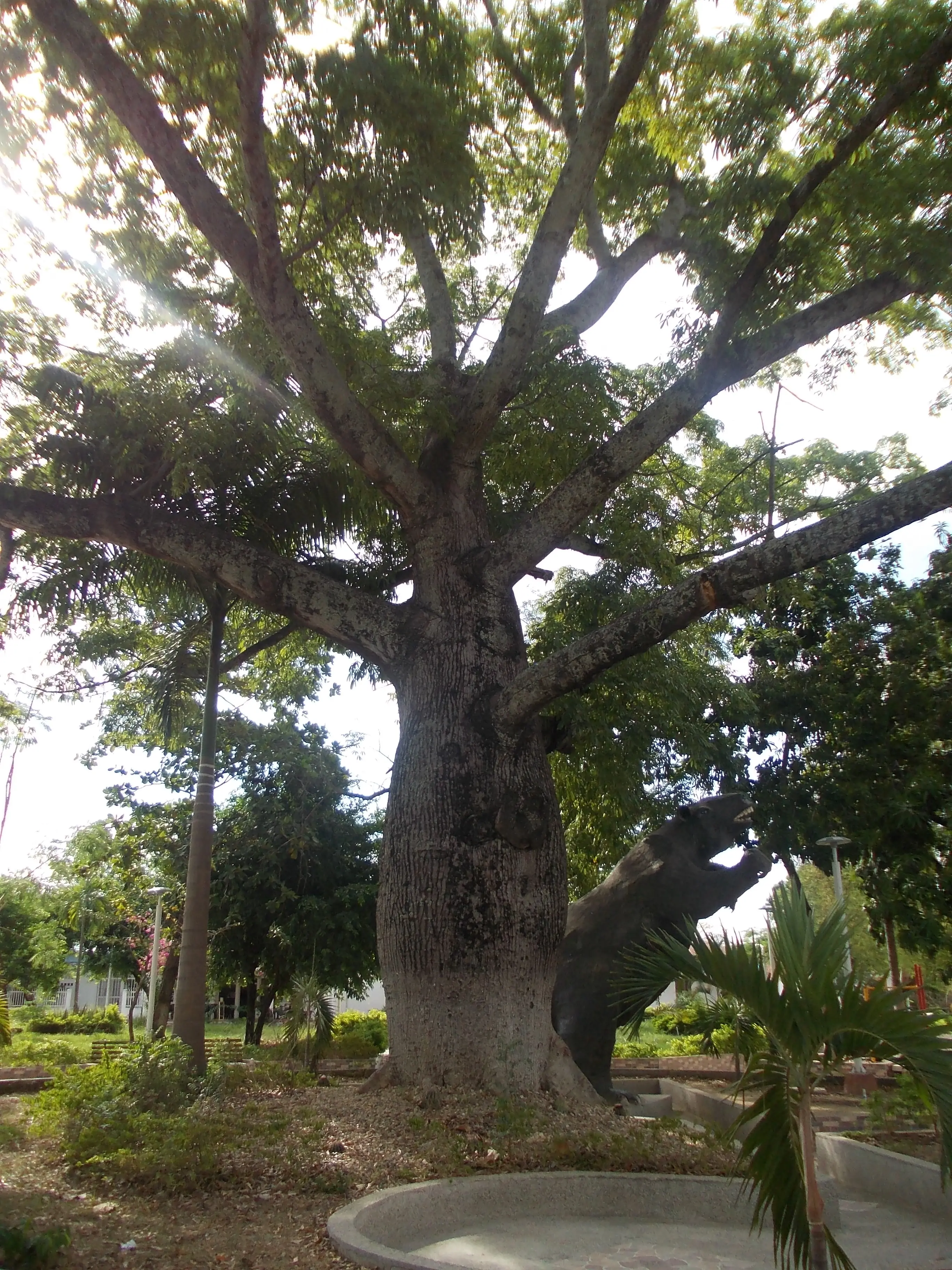 &Fotowelt - pflanzen\baeume