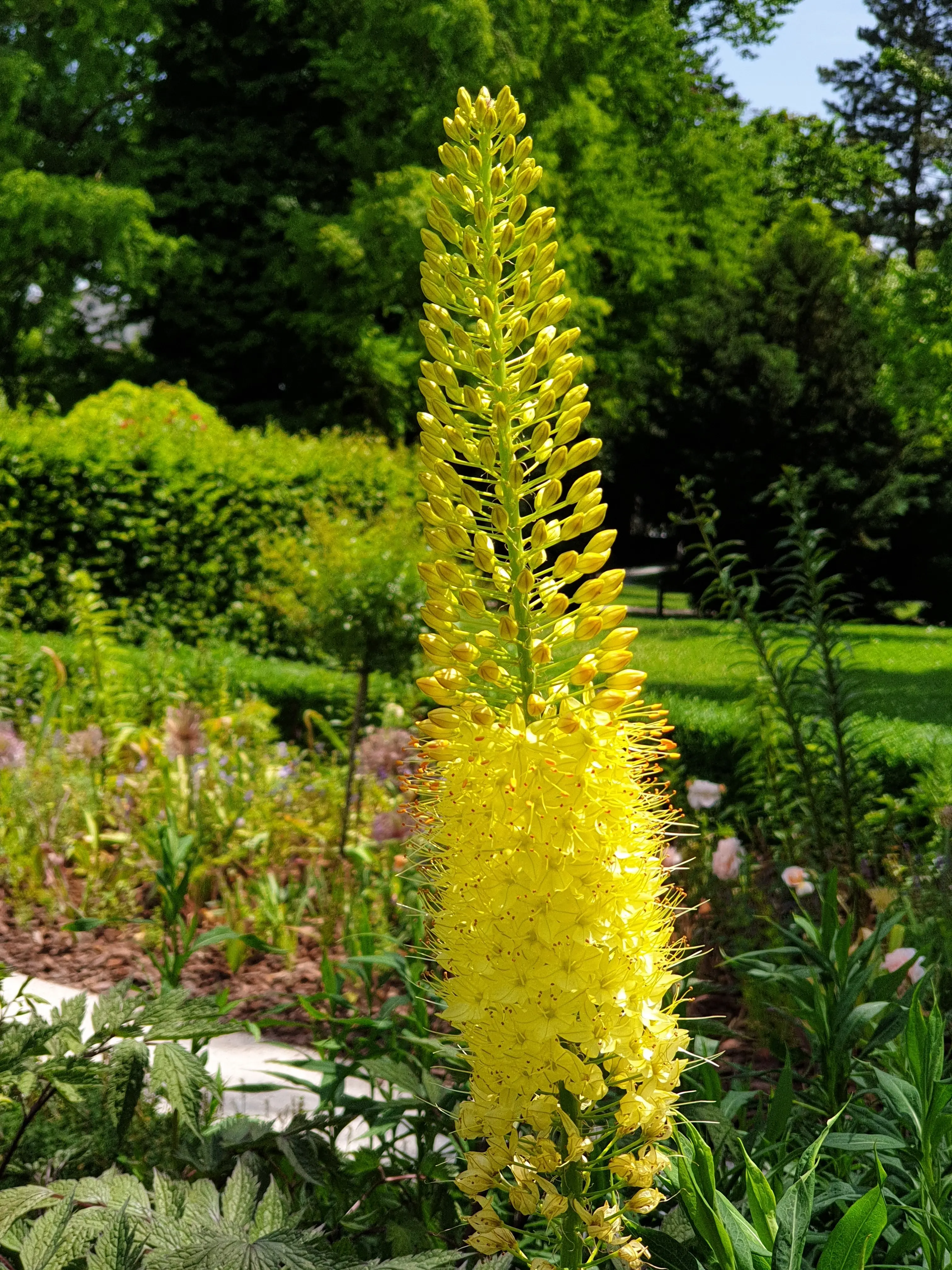 &Fotowelt - pflanzen\verschiedenes