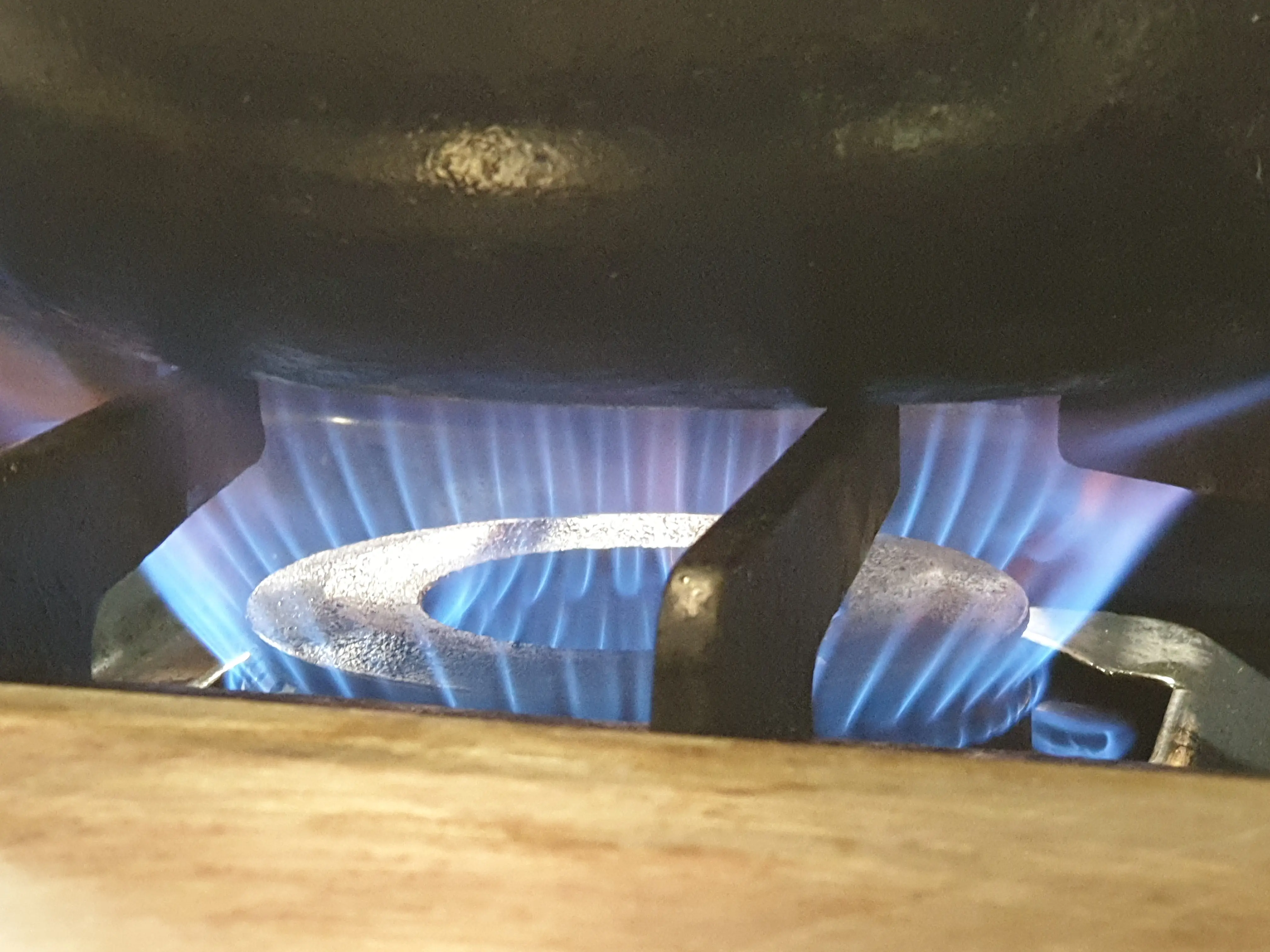 &Fotowelt - pflanzen\raritaeten