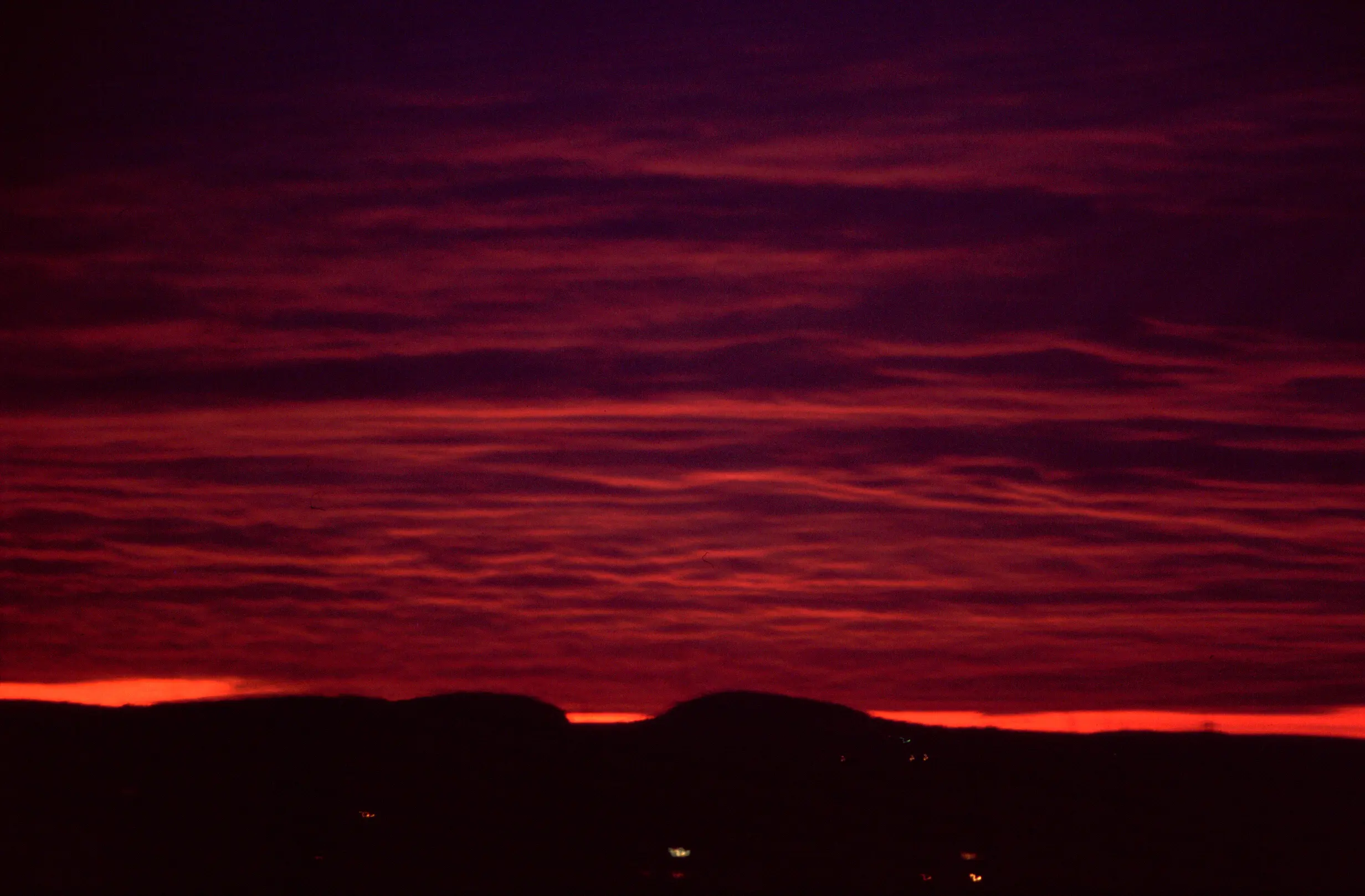 &Fotowelt - pflanzen\raritaeten