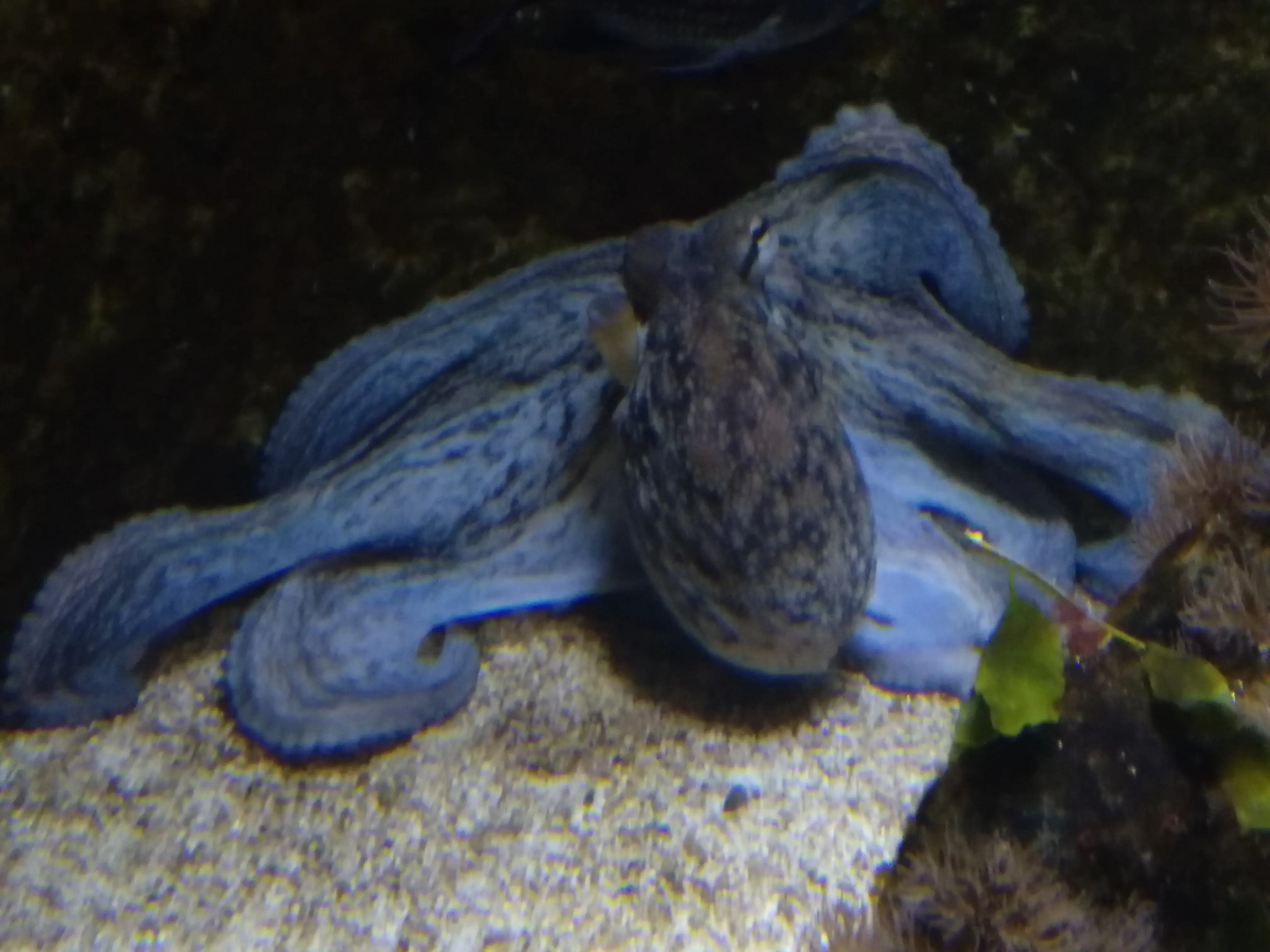 &Fotowelt - tiere\andere