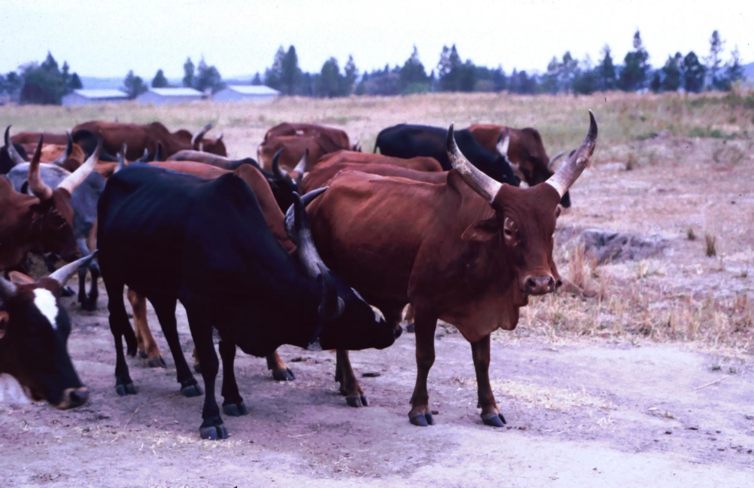 &Fotowelt - Säugetiere
