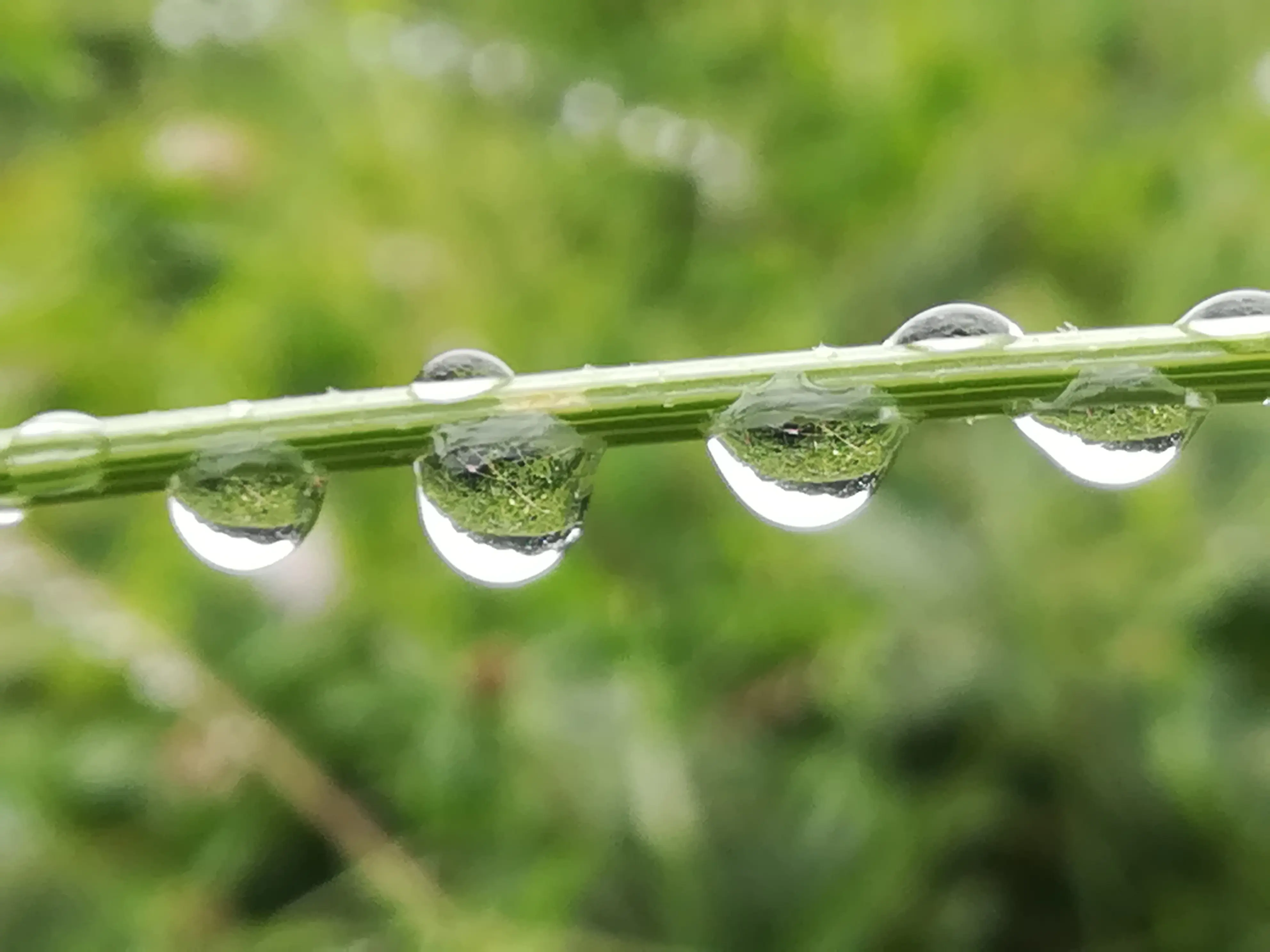 &Fotowelt - Wasser
