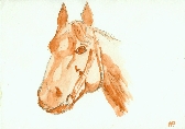 aquarelas