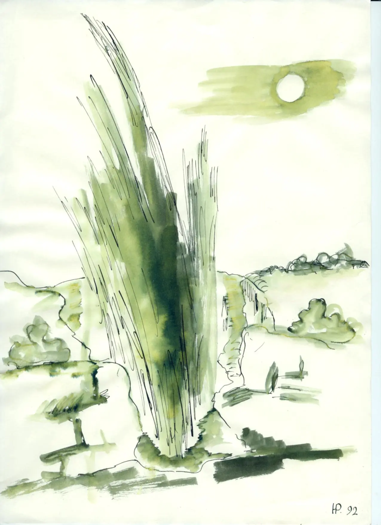 ink drawings - landscapes